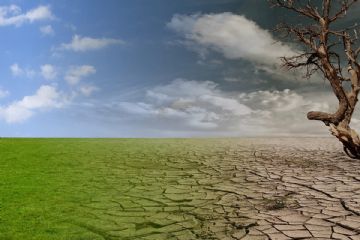 Danni da siccit&#224; alle produzioni agricole - anno 2023 - Attivazione procedura di ricognizione presso aziende interessate.